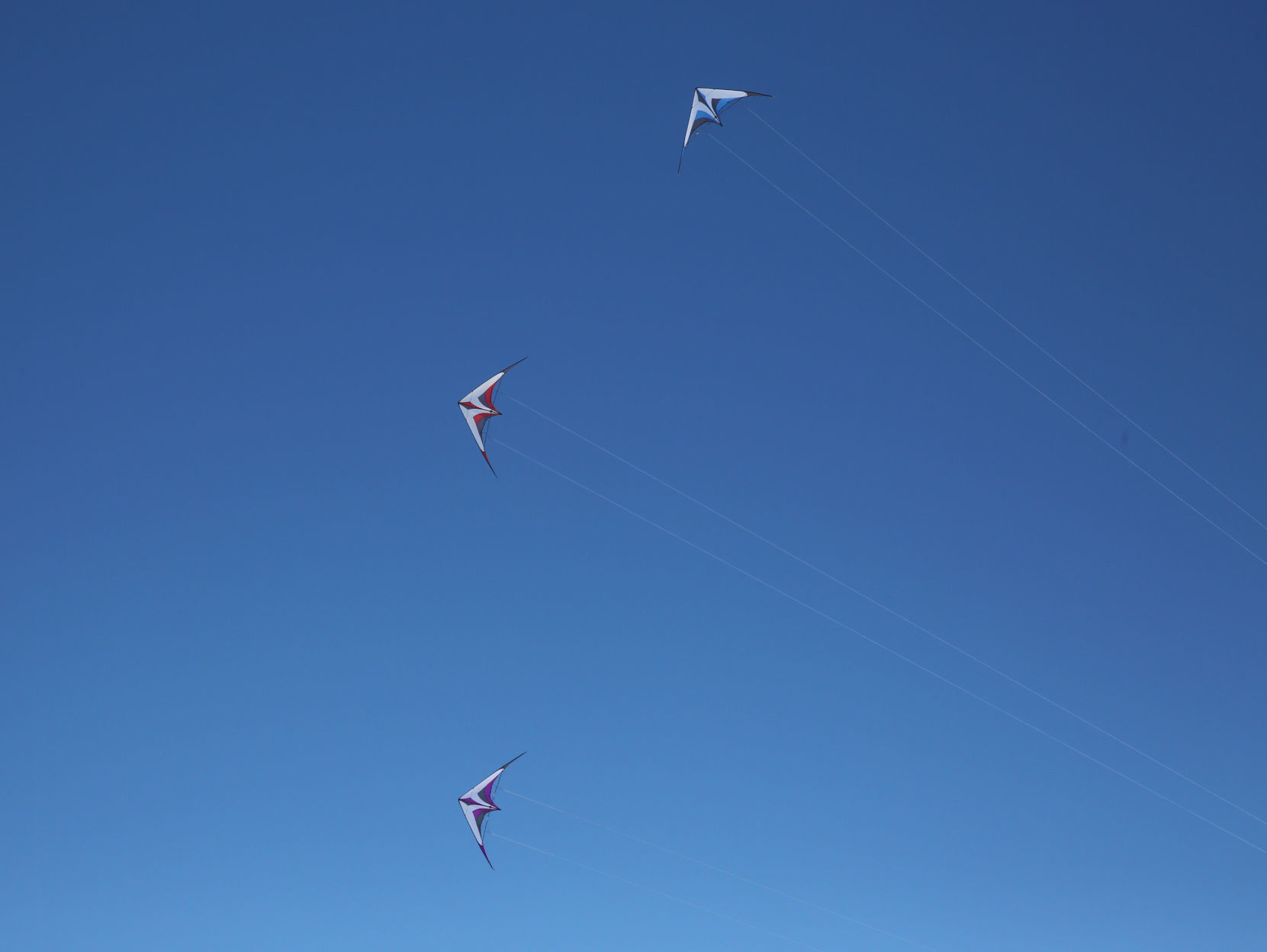 Color the Wind Kite Festival 2019 (32).jpg
